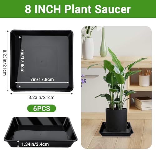 Greaner 8 Inch Humidity Tray, Black 6 PCS Plant Pot Drainage Tray, Indoor Plant Trays for Pots, Drip Trays for Potted Plants, Plastic Plant Trays for Pots, Seed Starter Growing Tray - color: Black, size: 8"