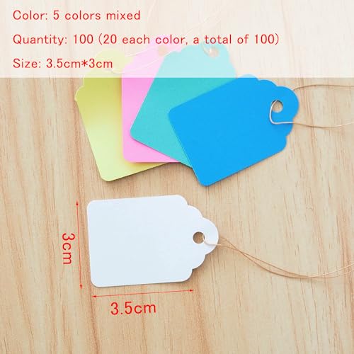 100 PCS Plastic Waterproof Hanging Garden Plant Labels Hanging Tags with String Price Tags for Pots, Herbs, Flower (5 Colors Mixed)