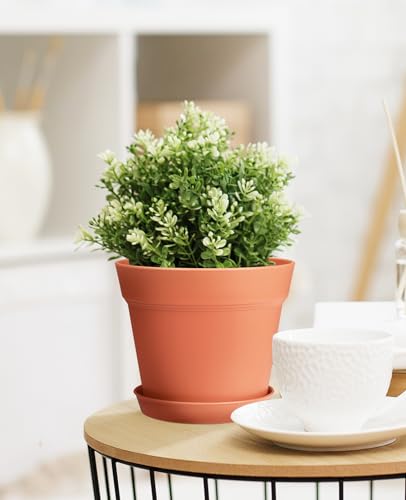 homenote 7.5 Inch Plastic Plant Pots with Drainage Holes and Trays (8 Pcs) - color: Terra Cotta-8 Pcs, size: 7.5 Inch