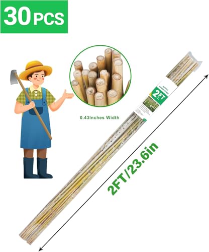 2ft Natural Bamboo Plant Stakes for Tomatoes, Beans, Flowers, Potted, Climbing Plants 30pcs - size: 2FT 30PCS