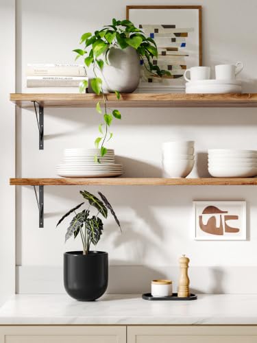 LE TAUCI 6 Inch Ceramic Plant Pot, Small Indoor Planter, Black - color: Black, size: 6”