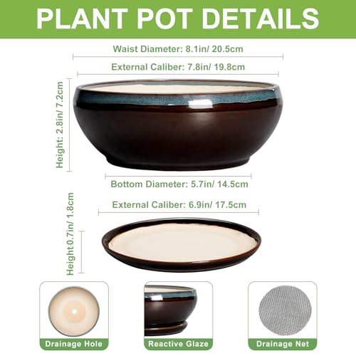 SQOWL Succulent Planters 8 Inch - Ceramic Bonsai Pots with Drainage Hole and Ceramic Saucer, Round Shallow Planter for Indoor Plant, Bowl Planter Outdoor, Desk Decor, Gift for Plant Lover, Blue-Brown - color: Blue-brown, size: 8 Inch