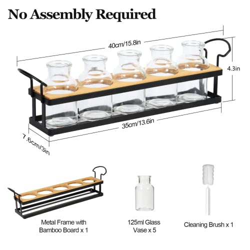 Plant Propagation Station with 5 Glass Jars, Retro Hydroponic Planter Vase - color: Black – 5 Tray