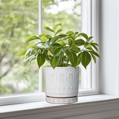Eightpot Pot for Plants 6 Inch - Ceramic Planter for Indoor Plants Decorative Plant Pot with Drainage Holes and Saucer Outdoor Flower Pot Modern Succulent Pots for Office Desk Decor White - color: White, size: 6 Inch