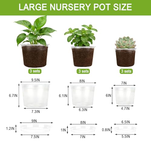 7/8/10 Inch Large Clear Nursery Pots with Drainage Holes.