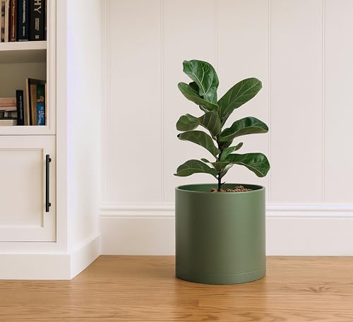 D'vine Dev Plastic Planter Pot with Saucer, 10 in, Olive, 74-X-I-2 - color: Olive, size: 10 Inch
