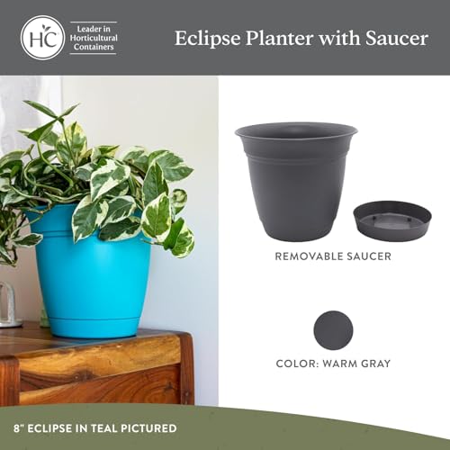 The HC Companies Eclipse Round Planter with Saucer - Outdoor & Indoor Plant Pot with Drainage Holes - Lightweight, UV-Resistant Plastic Pots for Plants, Flowers & Herbs (6" Warm Gray, Pack of 1) - color: Warm Gray, size: 6"