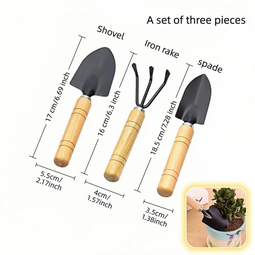 3-Piece Mini Garden Tool Set, Indoor Plant Care Kit with Wood Handle, Black Iron Tools for Potting, Transplanting and Cultivating, Compact Succulent and Houseplant Tools,Small Shovel, Trowel, Rake