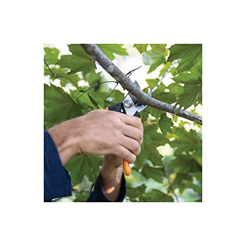 Fiskars Pro SoftGrip Bypass Pruning Shears, 1" Cut Capacity Garden Clippers - size: Fiskars Pro