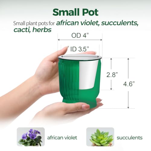 T4U Self Watering Pots for Indoor Plants 4 Inch 4 Pack Planter Green - color: Translucent Green, size: 4 Inch