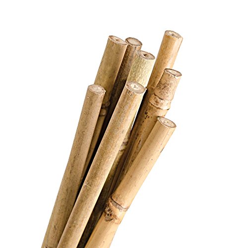 Natural First-Cut Bamboo Stakes, Pack of 10 (Approx. 3/8 Inch x 4 Feet)
