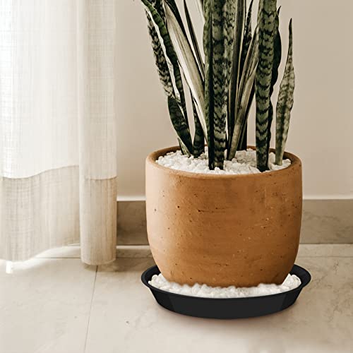 6 Pack Plant Saucer 4 6 8 10 12 14 16 18 20 22 Inch Plastic Plant Tray, Sturdy and Durable Flower Pot Container Accessories Plant Pot Saucers for Indoor and Outdoor (12 Inch, Black) - size: 12 Inch