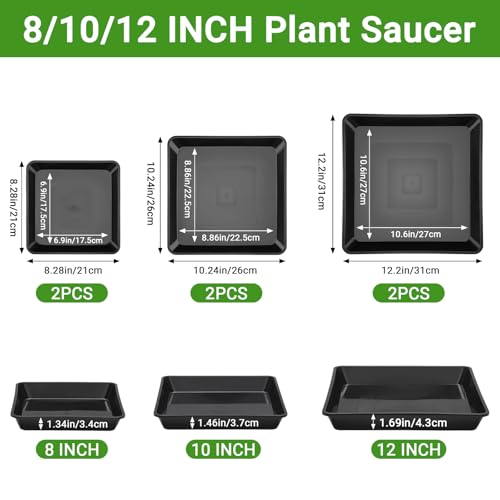 Greaner 8/10/12 Inch Square Tray, 6 Packs Heavy Duty Plastic Plant Plates to Catch Water, Plant Drip Trays No Holes(Black) - color: Black, size: 8"/10"/12"