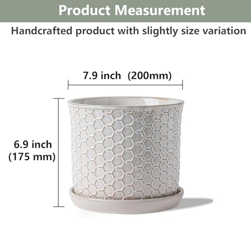 8 Inch Ceramic Plant Pot with Drainage Hole & Separate Saucer - color: Honeycomb Embossed, size: 8 inch