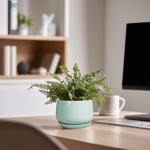 G EPGardening Ceramic Plants Pots - 4 inch Plant Pots Indoor, Green - color: Mint Green, size: 4 Inch