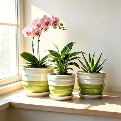 Vintage Flower Pots for Indoor Plant, Round Ceramic Plant Pots with Drainage Holes and Saucers, 6.7/5.2/3.9 Inches Retro Flower Planters Set of 3 - color: Green Stripes