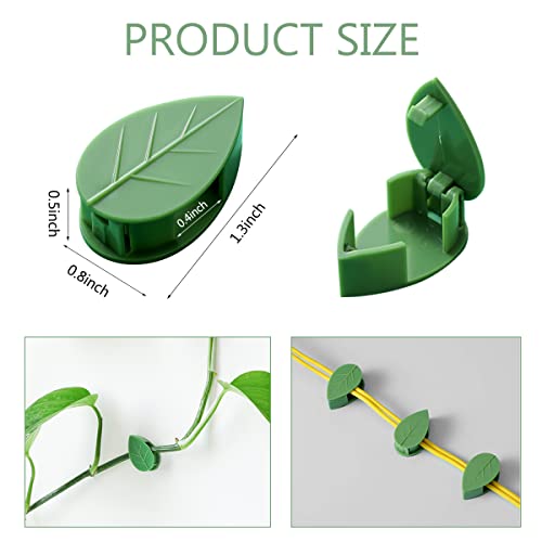 60 Pcs Plant Climbing Wall Fixture Clips, Self-Adhesive Hook for Vines - color: 60Pcs-Leaf Shaped