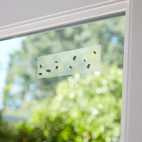 Faicuk 20 Pack Yellow Sticky Traps and 20 Pack Window Fly Strip Set