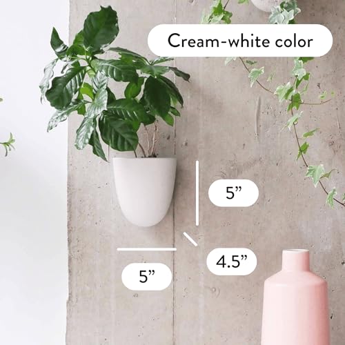 Make Good PlantPod Luxe - Self-Watering Wall Planters (Set of 6) - Easy to Water and Install - Lightweight - Design Your Own Vertical Garden - Wall Planters for Indoor Plants - color: White