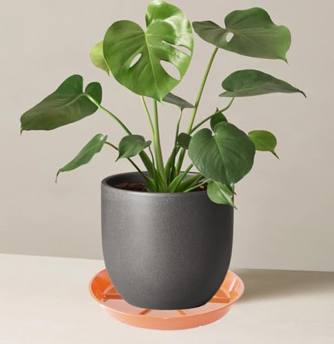 Plant Saucer Pot Tray 8 inch, 6 Packs Flower Planter Saucers and Drip Trays, Terracotta - color: Terracotta, size: 8" - 6 Pack