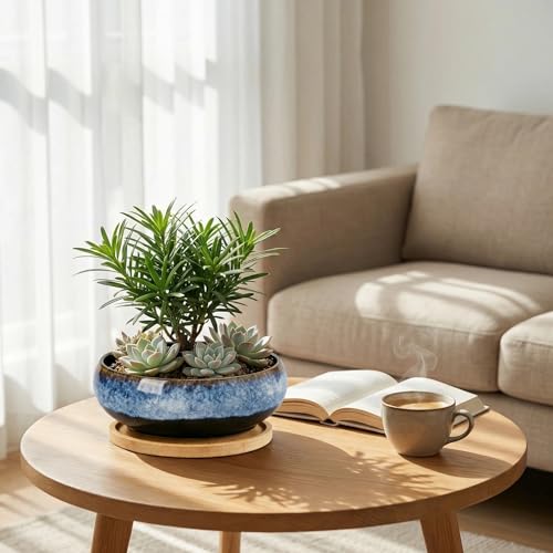 Succulent Pots with Drainage Hole Ceramic Bonsai Tree Pots, 8 in Shallow Planter with Saucer, Round Plant Pot for Succulent Indoor Outdoor, Porch Decor, Gifts for Plant Lover Blue - color: Blue, size: 8 inch