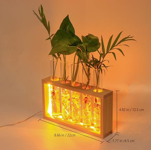 Plant Propagation Station with LED Lights, Plants Terrarium with Wooden Stand, 5 Glass Test Tube Vases for Propagating Hydroponic Plants Cutting Office Home Desk and Garden Decor Gift for Plant Lovers - color: Wood Color