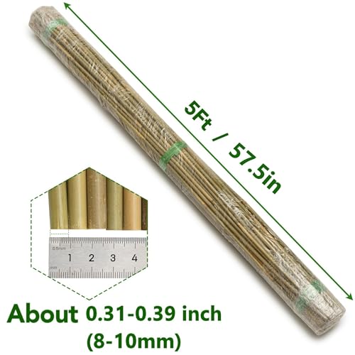 Bamboo Stakes, 5 Feet (58 inch), 70 Pcs - size: 5ft-70 Pack