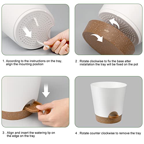 YNNICO Indoor Self Watering Planters with Drainage Holes and Saucers, 8, 7, 6.5, 6, 5.5, 5 Inches, White, 6 Pots (Pack of 2) - color: White, size: 8+7+6.5+6+5.5+5 inch (Pack of 2)