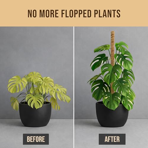 Moss Pole Monstera Plant Support, 2 Pack 48in Bendable Indoor Plant Stakes - size: 2-Pack (48 in)
