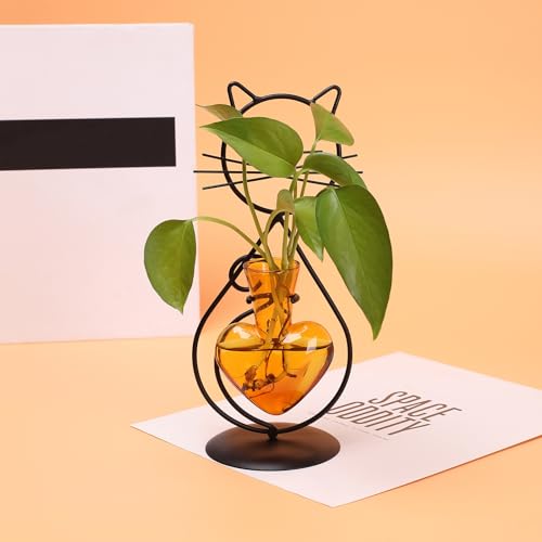 Plant Terrarium Propagation Station Gifts for Women Cat Lover - color: Amber
