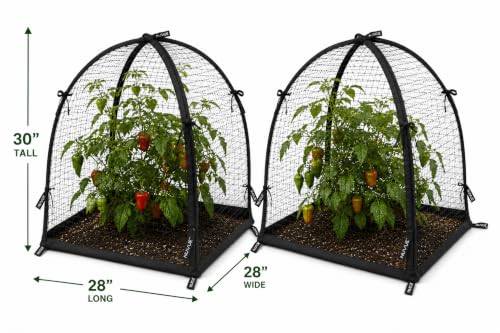 NuVue Products 32103 Pop-Up Garden Netting Pest Guard Covers with Ground Spikes, Mesh Plant Cover Tents for Pest and Animal Control, Pack of 2, Black, 36" x 36" x 38" - color: Black, size: 36" x 36" x 38"
