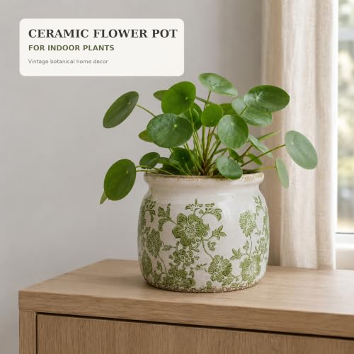 Dosayes Flower Pot,Vintage Ceramic Pot for Plant with Drainage Holes - color: Pastoral Green