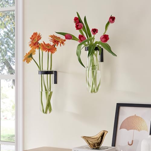2 Piece Hanging Glass Wall Vase Set, Iron Metal Plant Stand with Clear Borosilicate Glass Tubes, Creative Wall Mount Vase for Flowers, Air Plants, Home Office Wedding Decoration - size: Style 005