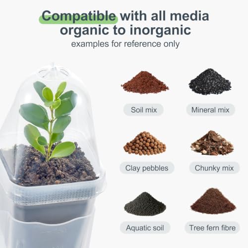 12 Pcs Clear Small Self Watering Pots for Indoor Plants