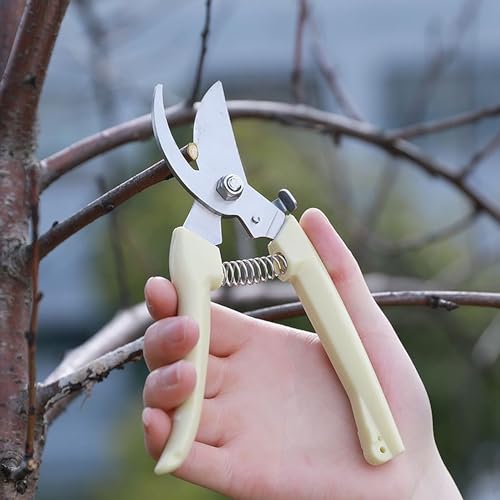5pcs Garden Flower Shears Pruning Shears 6.9 inches Scissors Heavy Duty Plant Scissors for Cutting Flowers, Trimming Plants, Bonsai, Fruits Picking (White Handle 5pcs) - style: White Handle 5pcs