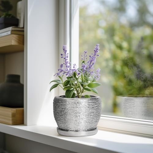 SQOWL Ceramic Plant Pots - 6 Inch Planter for Indoor Outdoor Plants, Modern Round Flower Pots with Drainage Hole and Saucer, Decorative Small Planter, Office Decor, Gifts for Women Men, Silver - color: Silvery, size: 6 Inch