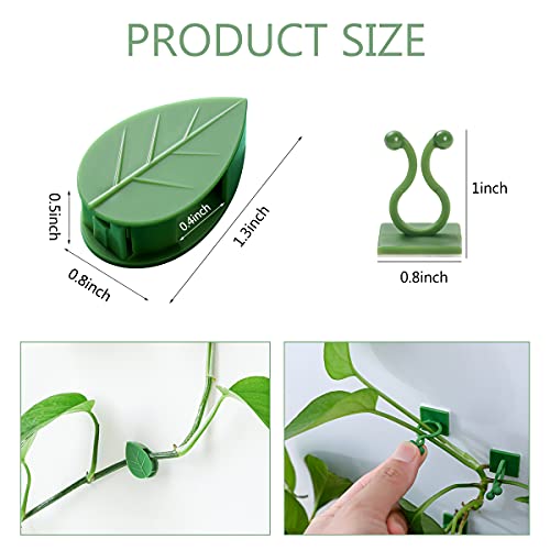 100 Pcs Plant Climbing Wall Fixture Clips, Self-Adhesive Hook for Vines - color: 50Pcs+50Pcs