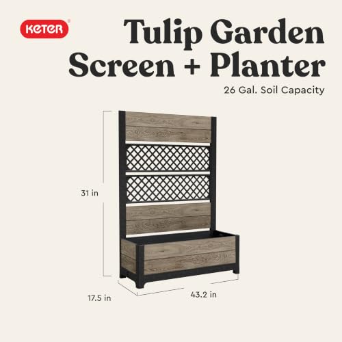 Keter Outdoor Planter Box with Privacy Screen and Trellis – 26 Gallon Raised Garden Bed for Climbing Plants, Wood-Look Resin, Weather-Resistant Divider for Patio, Balcony & Backyard - style: Ashwood Trellis