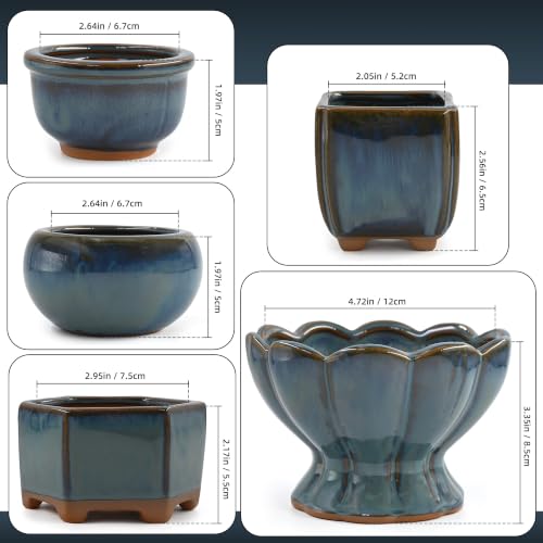 Ceramic Succulent Planter Garden Pots Small Plant Container with Drainage Set of 5 for Home Office Decor - color: B Set of 5