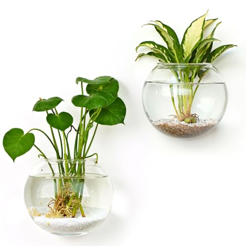 DomeStar Set of 2 Wall Vases, Wall Mounted Propagation Station - size: 2pcs