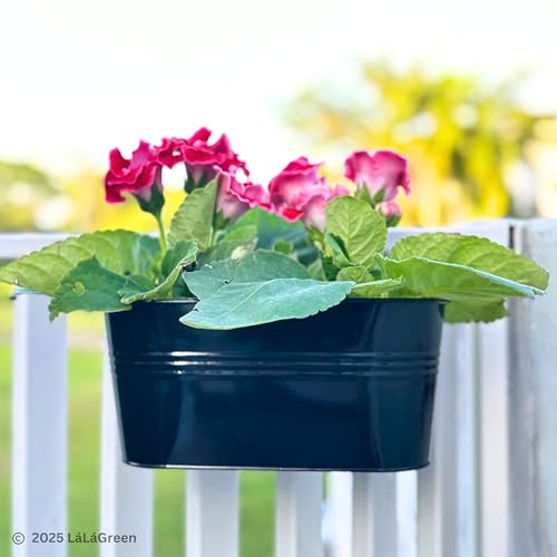 LaLaGreen Outdoor Rail Planter (11.8 Inch, 6 Pack) Black Metal Iron Hanging Flower Pots Deck Railings Fence Buckets Outside Countryside Boho Style Wall Mount Window Box Plant Holder Hook Porch Decor - size: 11.8" (30 cm) x 6 Pack