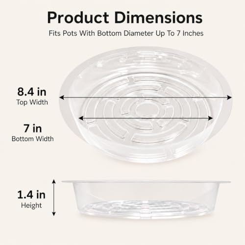 Gardzen Heavy Duty Clear Plastic Plant Saucers, Flower Pot Tray - Excellent for Indoor & Outdoor Plants (8-Inch, 10-Pack) - size: 8 Inch