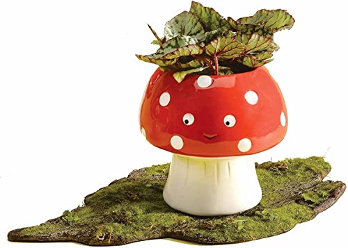 Streamline Imagined Ceramic Small Kawaii Mushroom Planter - color: Mushroom