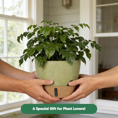 Self-Watering Hanging Planters for Indoor Plants Set 2-Piece Includes Plant Hanging Pot, Drainage-Hole Hanging Pot, and Hanging Basket Rack (10 Inches, Green) - color: Green