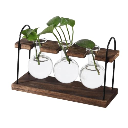 Plant Terrarium with Wooden Stand Retro Glass Bulbs Propagation Station Hydroponic Greenery Vase Rack for Stunning Tabletop Display Indoor Home Office Plant Lovers Gift Decor