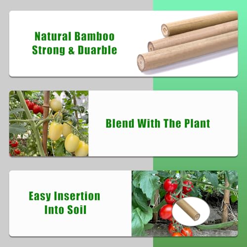 Bamboo Stakes,4Feet,65Pcs,Plant Bamboo Post,GUANGYE,Bamboo Garden Stakes - size: 4Ft,65Pack