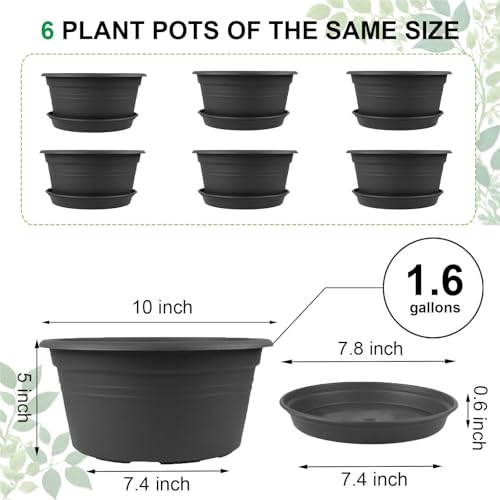 6 Pack 10 inch Plant Pot, Round Plastic Plant Pots with Drainage Holes - color: Dark Gray, size: 10 Inch - 6Pack