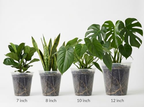 Large Clear Nursery Pot with Drainage Holes 7/8/10/12 inch,12pack - size: 7/8/9.5/12inch without trays