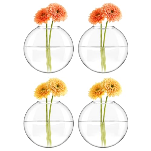 Mkono Wall Propagation Planters, 4 Pack Oblate Hanging Plant Holder Vase