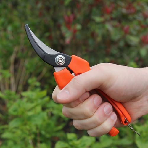 Harvesting Pruners with Curved Blades - Ideal for Fruits, Vegetables, Flowers, & Herbs